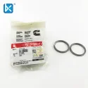 Cummins Вставить, Клапан 3104445