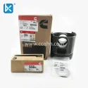 Комплект Cummins, Eegine Piston 4955235