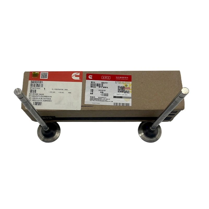 Cummins Engine Valves 3685996 / 5693781 high quality