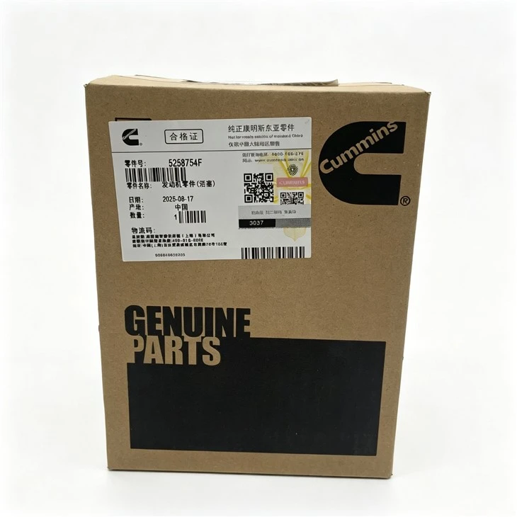 Cummins Engine Piston 5258754F 04